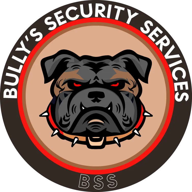 Bully’s Security Service